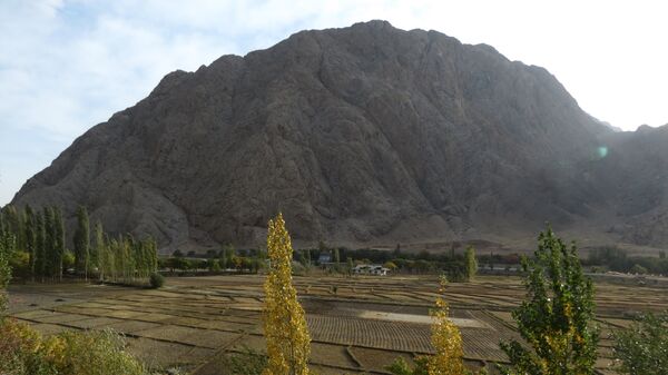 Рисовые поля в Таджикистане, скалы над ними - в Кыргызстане, архивное фото - Sputnik Тоҷикистон