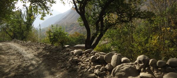 Каменная изгородь аккуратно выложена вдоль горной дороги, архивное фото Каменная изгородь аккуратно выложена вдоль горной дороги, архивное фото - Sputnik Тоҷикистон