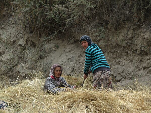 Ҷашнҳои рӯзи 15 октябр дар Тоҷикистон ва ҷаҳон Ҷашнҳои рӯзи 15 октябр дар Тоҷикистон ва ҷаҳон - Sputnik Тоҷикистон