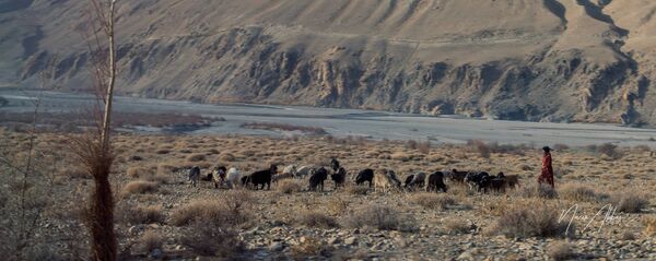 В горах Таджикистана, архивное фото - Sputnik Тоҷикистон