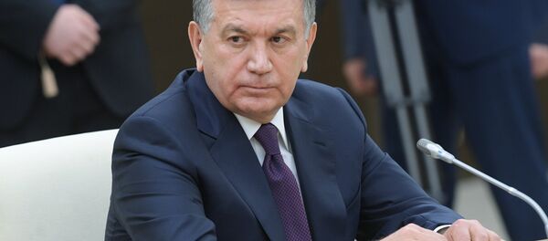 Президент Республики Узбекистан Шавкат Мирзиёев, архивное фото - Sputnik Таджикистан