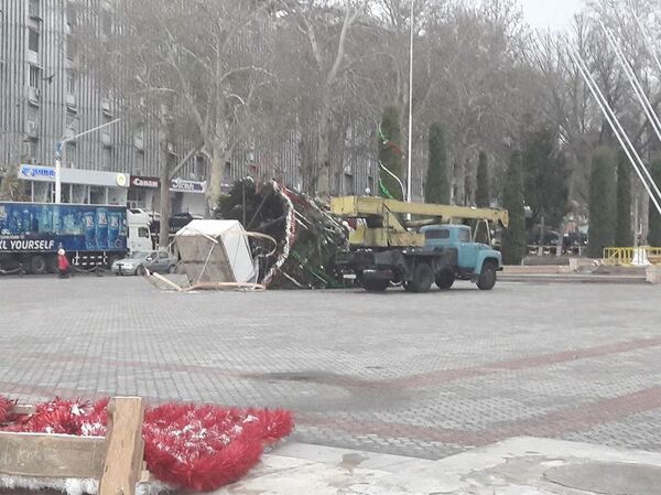 Арчаи солинавӣ дар шаҳри Хуҷанд - Sputnik Тоҷикистон