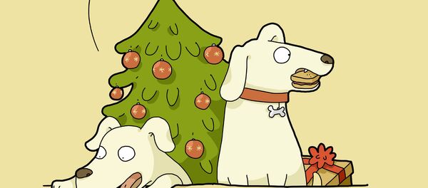 Все в порядке, они подумают, что Санта все съел - Sputnik Таджикистан