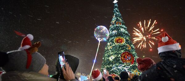 Салют в честь Нового года Салют в честь Нового года - Sputnik Таджикистан