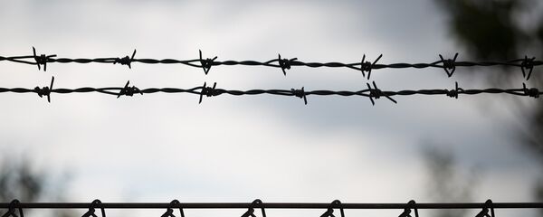 Колючая проволока, архивное фото - Sputnik Таджикистан