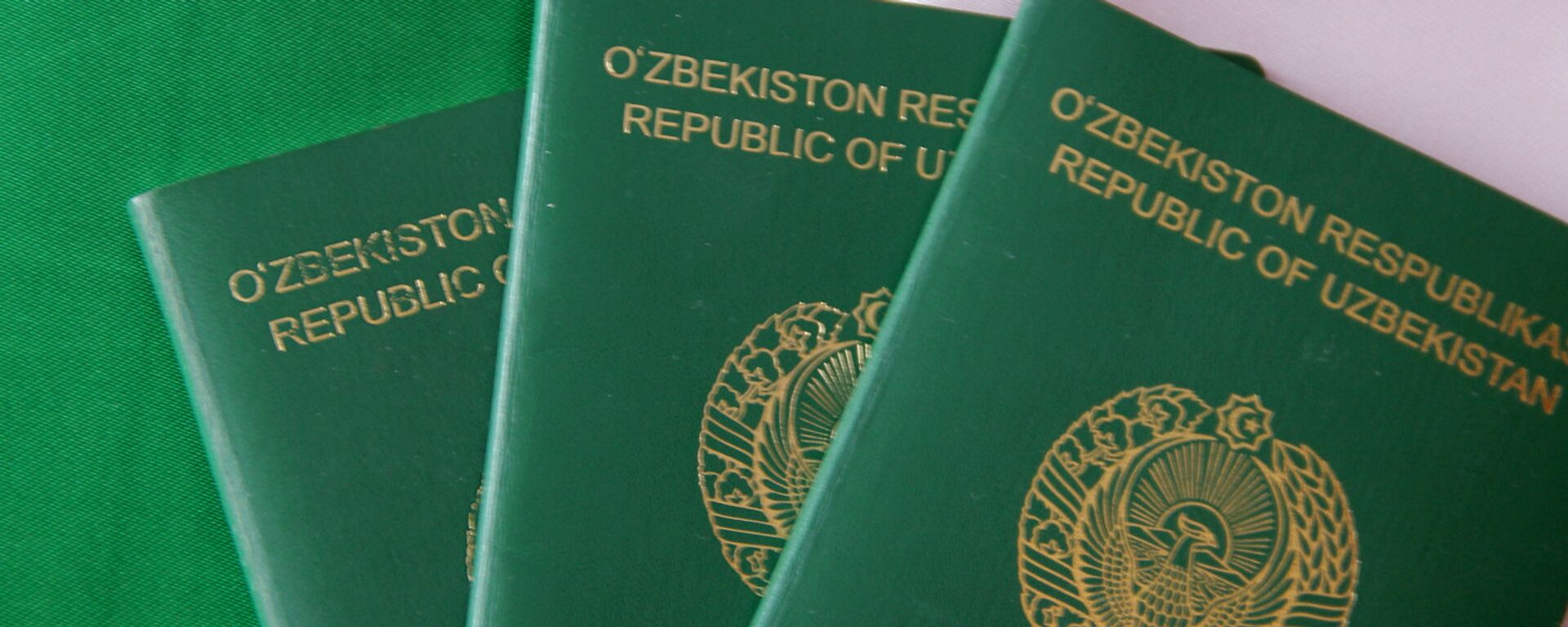 Узбекский паспорт - Sputnik Тоҷикистон, 1920, 30.05.2021