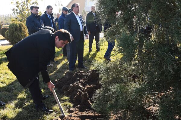 Рустам Эмомалӣ ва Эмомалӣ Раҳмон - Sputnik Тоҷикистон