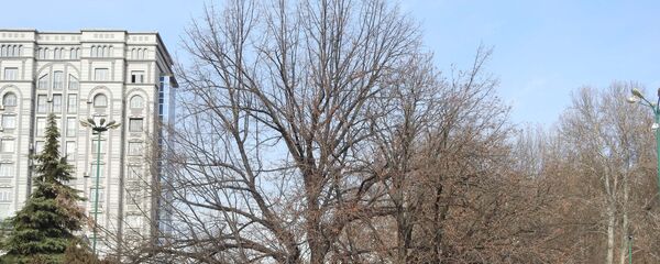 Душанбе в декабре, архивное фото - Sputnik Таджикистан