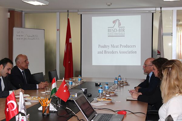 Встреча таджикских и турецких дипломатов - Sputnik Тоҷикистон