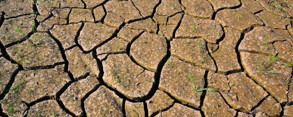 Высохшая земля Высохшая земля - Sputnik Тоҷикистон