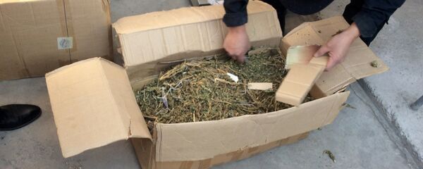 Марихуана, архивное фото - Sputnik Таджикистан