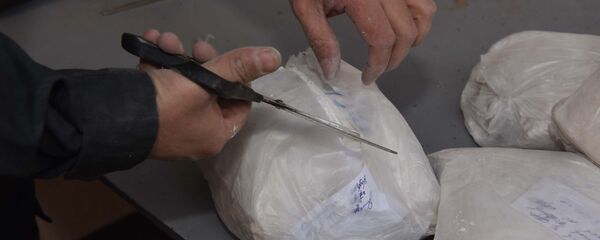 Уничтожение  незаконных наркотических веществ, архивное фото - Sputnik Тоҷикистон