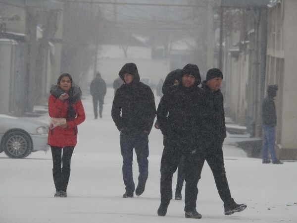 Снегопад в Душанбе, архивное фото - Sputnik Таджикистан