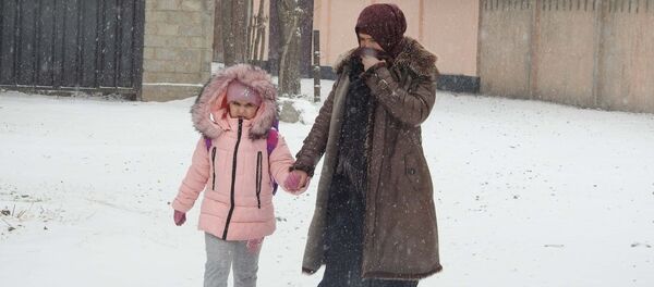 Снег в Душанбе, архивное фото Снег в Душанбе, архивное фото - Sputnik Тоҷикистон