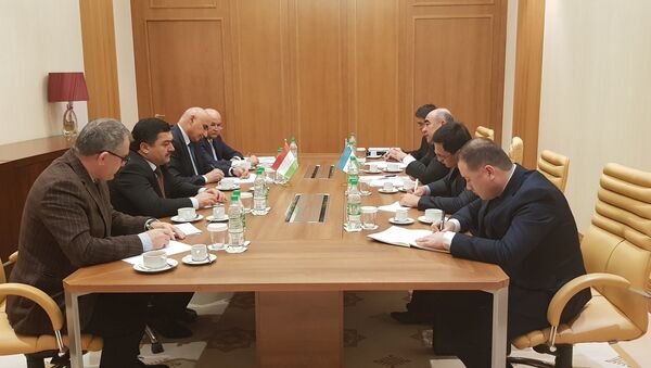 Встреча Заместителя Премъер-министра Республики Таджикистан с Министром сельского и водного хозяйства Республики Узбекистан - Sputnik Таджикистан