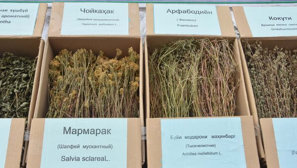 Целебные травы, архивное фото - Sputnik Таджикистан