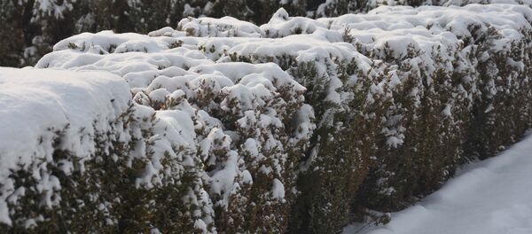 Город Душанбе зимой, архивное фото - Sputnik Тоҷикистон