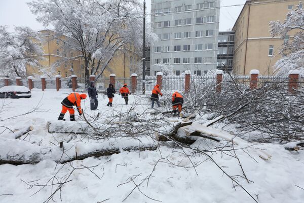 Сотрудники коммунальных служб во время уборки дерева после снегопада, архивное фото - Sputnik Таджикистан