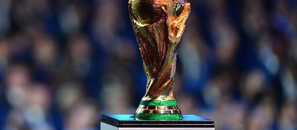 Кубок чемпионата мира по футболу 2018, архивное фото - Sputnik Таджикистан
