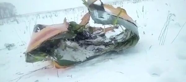 Видео с места падения пассажирского самолета Ан-148 в Подмосковье Видео с места падения пассажирского самолета Ан-148 в Подмосковье - Sputnik Тоҷикистон