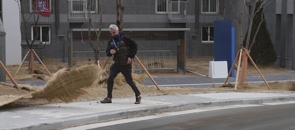 Метель в Пхенчхане: ураганный ветер накрыл столицу Олимпиады - Sputnik Таджикистан