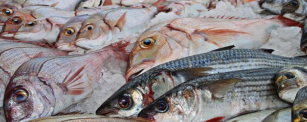 Рыба, архивное фото - Sputnik Тоҷикистон