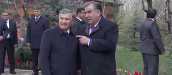 Кадры визита Мирзиеева в Таджикистан Кадры визита Мирзиеева в Таджикистан - Sputnik Тоҷикистон