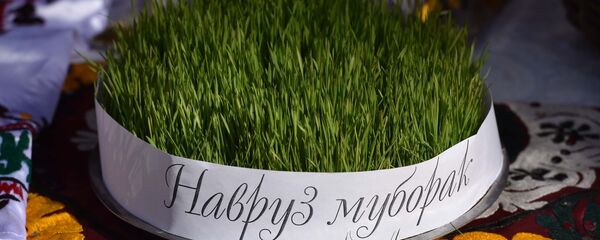 Пророщенные ростки пшеницы, архивное фото Пророщенные ростки пшеницы, архивное фото - Sputnik Тоҷикистон