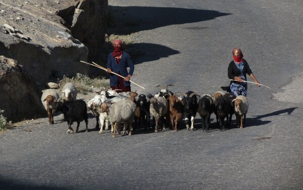 Пастухи, архивное фото - Sputnik Таджикистан