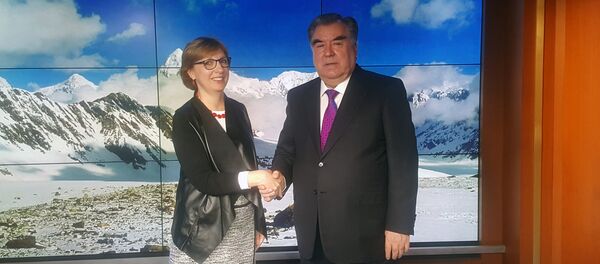 Мусоҳибаи Эмомалӣ Раҳмон бо хабарнигори СММ Мусоҳибаи Эмомалӣ Раҳмон бо хабарнигори СММ - Sputnik Тоҷикистон