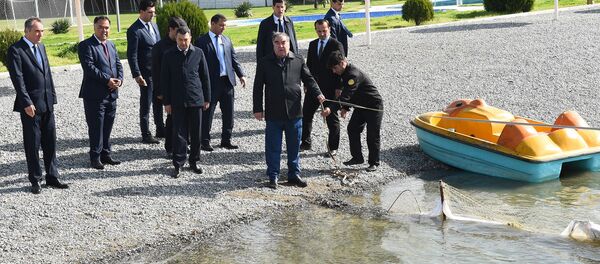 Эмомали Рахмон в Худжанде, архивное фото Эмомали Рахмон в Худжанде, архивное фото - Sputnik Тоҷикистон
