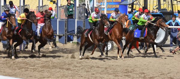 Скачки в Душанбе, архивное фото - Sputnik Таджикистан