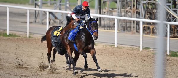Скачки в Душанбе, архивное фото - Sputnik Тоҷикистон