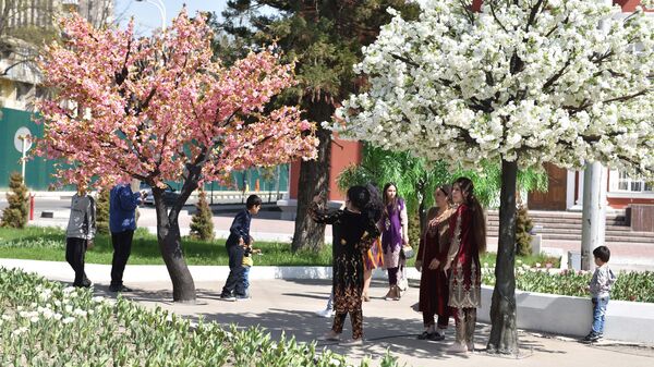 Цветущие деревья в Душанбе, архивное фото - Sputnik Таджикистан