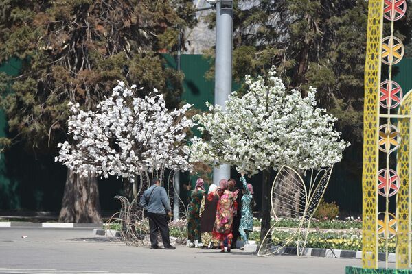 Цветущие деревья в Душанбе, архивное фото - Sputnik Таджикистан