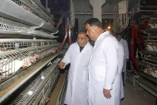 Председатель Согда в районе Джаббор Расулов Председатель Согда в районе Джаббор Расулов - Sputnik Тоҷикистон