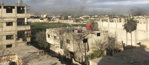 Дым, возникший в результате ударов сирийской армии по позициям Джебхат ан-Нусра (организация запрещена в РФ), в Восточной Гуте в пригороде Дамаска - Sputnik Таджикистан