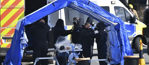 Следственные мероприятие в Солсбери - Sputnik Таджикистан