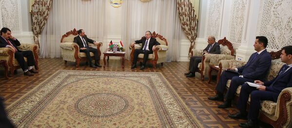 Вохӯрӣ бо Вазири корҳои хориҷии Ҷумҳурии Исломии Афғонистон Вохӯрӣ бо Вазири корҳои хориҷии Ҷумҳурии Исломии Афғонистон - Sputnik Тоҷикистон