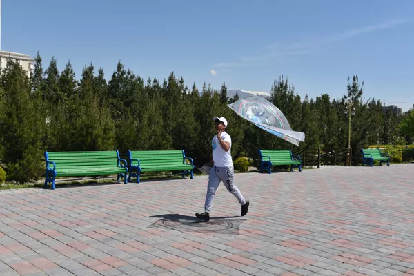 Аввалин ҷашнвораи бодбарак дар Душанбе