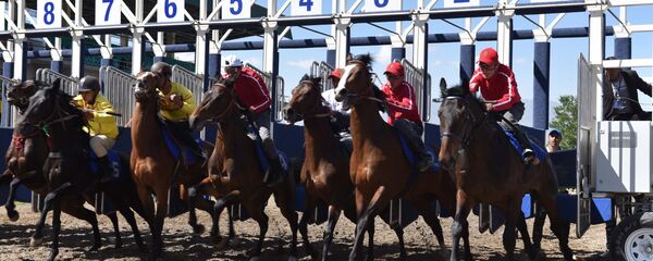 Скачки в Душанбе - Sputnik Тоҷикистон