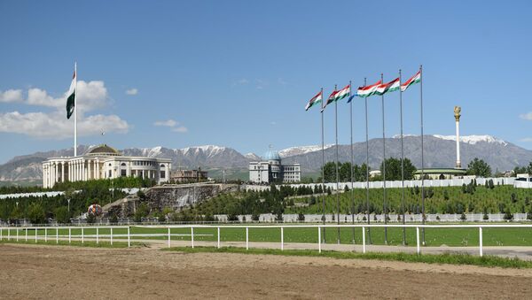 Панорама на город Душанбе, архивное фото - Sputnik Тоҷикистон