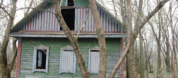 Дом в зоне отчуждения, архивное фото - Sputnik Таджикистан