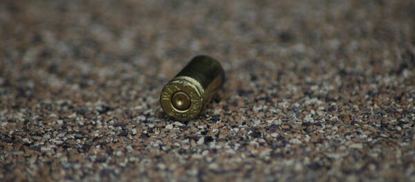 Пистолетная гильза - Sputnik Таджикистан