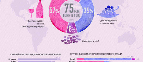 Польза и вред винограда Польза и вред винограда - Sputnik Таджикистан