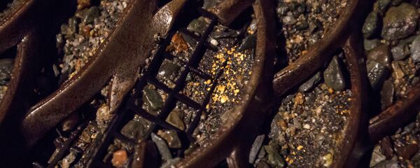 Добыча золота - Sputnik Тоҷикистон