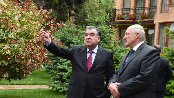 Президент Таджикистана Эмомали Рахмон и глава Беларуси Александр Лукашенко - Sputnik Таджикистан