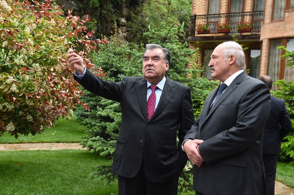 Президент Таджикистана Эмомали Рахмон и глава Беларуси Александр Лукашенко - Sputnik Таджикистан