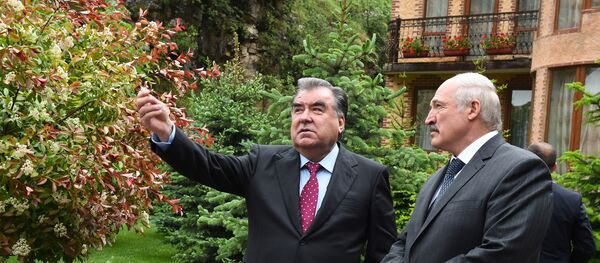 Президент Таджикистана Эмомали Рахмон и глава Беларуси Александр Лукашенко Президент Таджикистана Эмомали Рахмон и глава Беларуси Александр Лукашенко - Sputnik Таджикистан