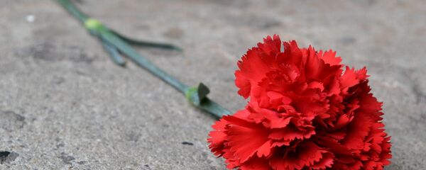 Цветок гвоздики, архивное фото Цветок гвоздики, архивное фото - Sputnik Тоҷикистон